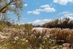 Westerdiep 39-40.jpg